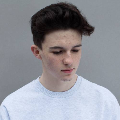 Petit Biscuit